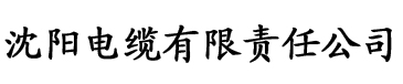 百度影音三级片电缆厂logo